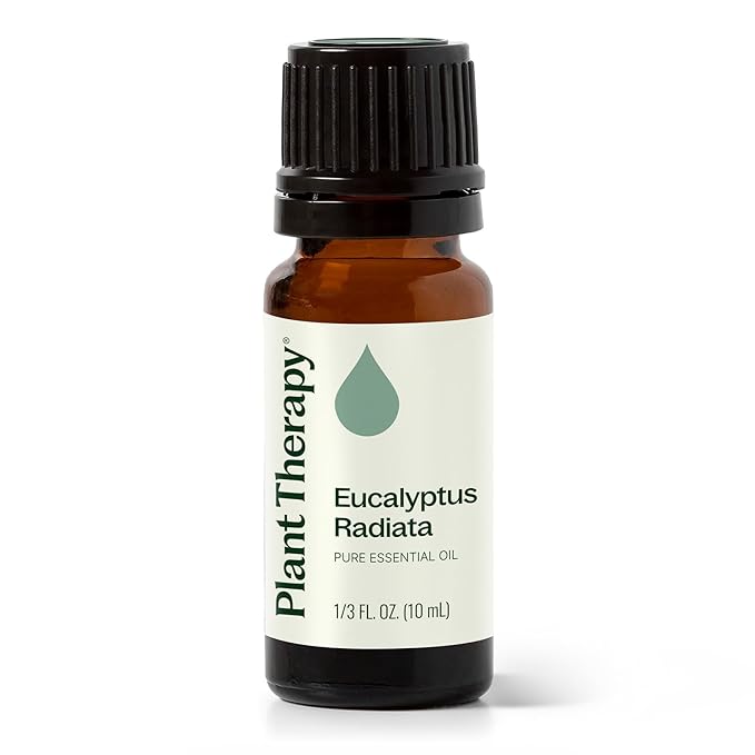 Plant Therapy Eucalyptus Radiata Essential Oil 10 mL (1/3 oz) 100% Pure, Undiluted, Therapeutic Grade