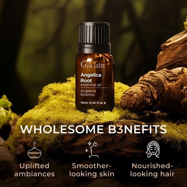 Gya Labs Angelica Root Essential Oil for Diffuser - 0.34 Fl Oz - 100% Pure Natural Angelica Oil for Skin, Hair, DIY Candle Making & Massage- Earthy & Herbaceous Scent