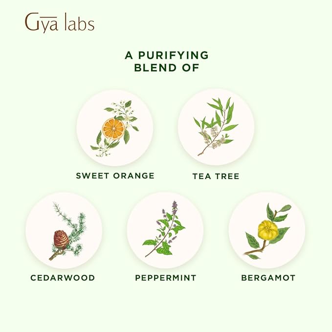Gya Labs Purify Essential Oil Blend for Diffuser & Skin - Fresh & Cleansing Scent for Aromatherapy, Air Freshener (0.34 fl oz)