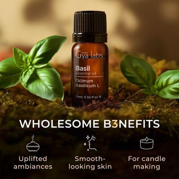Gya Labs Basil Essential Oil for Diffusers - 0.34 Fl Oz - 100% Pure Natural Basil Oil for Skin, Massage, Fragrance & Candles Making Scent