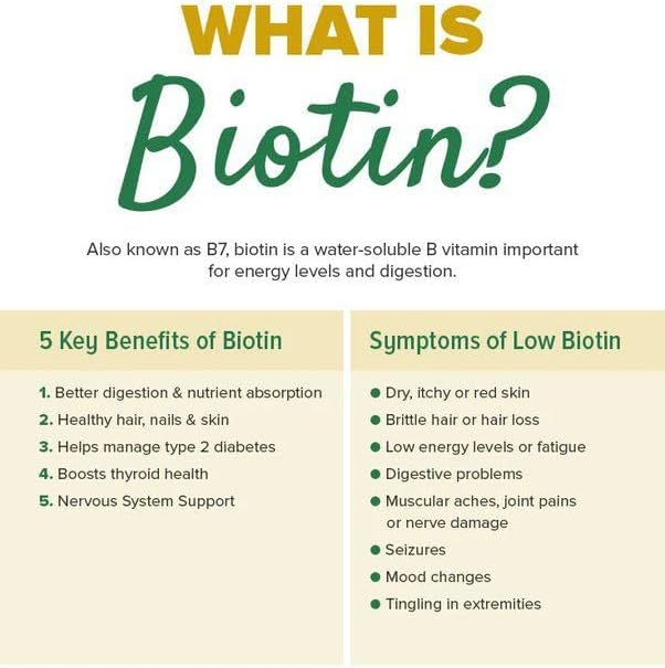 Biotin (Vitamin B7) Powder Vitamin B7 Powder for Hair, Skin, and Nail Health, Biotin Vitamin Non-GMO, Gluten-Free (8 Ounce / 226 Grams)