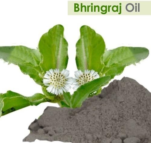 ﻿Salvia Bhringraj Oil (Eclipta alba) 100% Pure & Natural - Undiluted Uncut Cold Pressed Premium Oil Use for Aromatherapy, Skin Care & Hair - Therapeutic Grade (15ml (0.50 Fl Oz))