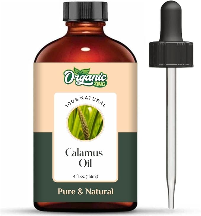 Calamus (Acorus Calamus) Oil | Pure & Natural Essential Oil for Skincare, Hair Care, Aroma & Diffusers - 118ml/3.99fl oz