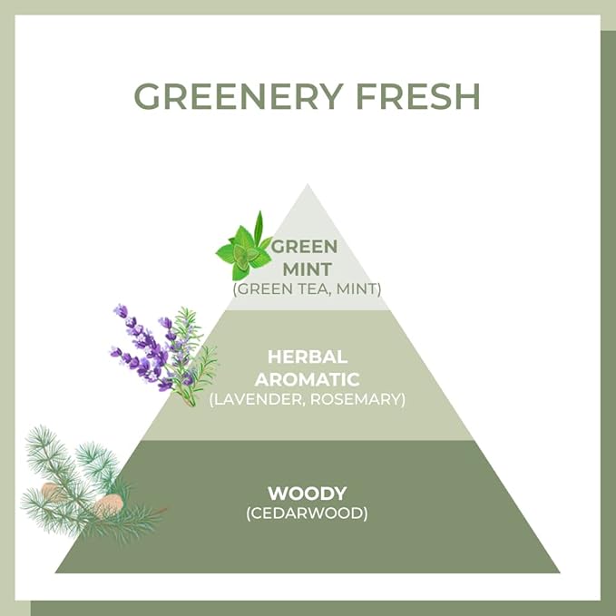 AMOS PROFESSIONAL Korean Green Tea Nourishing Hair Mask 8.45 oz (250ml) | Deep Conditioning Treatment for Hair Growth and Moisture