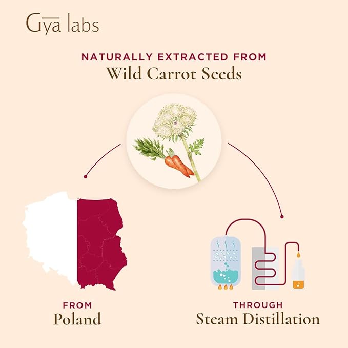 Gya Labs Carrot Seed Essential Oil - 0.34 Fl Oz - 100% Pure Natural Carrot Oil for Skincare, Hair, Scalp & Aromatherapy, Candles Making DIY, Massages - Earthy Woodsy Scent