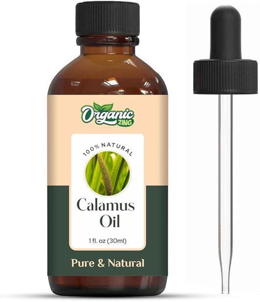 Calamus (Acorus Calamus) Oil | Pure & Natural Essential Oil for Skincare, Hair Care, Aroma & Diffusers - 30ml/1.01fl oz
