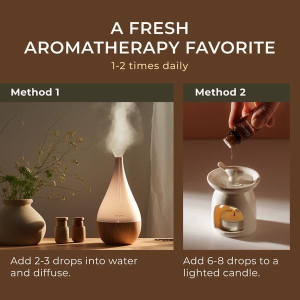 Gya Labs Basil Essential Oil for Diffusers - 0.34 Fl Oz - 100% Pure Natural Basil Oil for Skin, Massage, Fragrance & Candles Making Scent