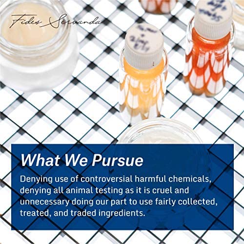 Antioxidant Eye Cream 0.67oz / 20ml - Eye Wrinkles Solution, Non-greasy Gel Cream, Organically grown & Handpicked ingredients, Korean Skin Care