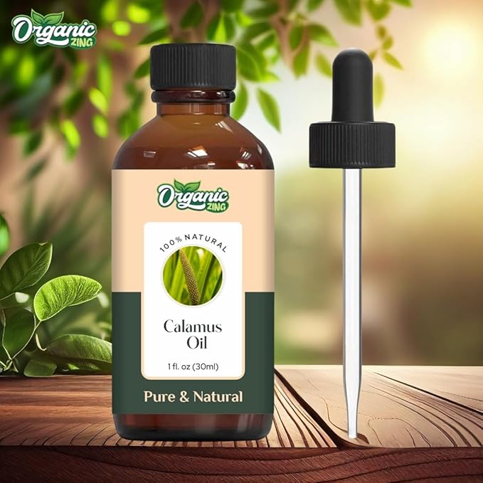 Calamus (Acorus Calamus) Oil | Pure & Natural Essential Oil for Skincare, Hair Care, Aroma & Diffusers - 30ml/1.01fl oz
