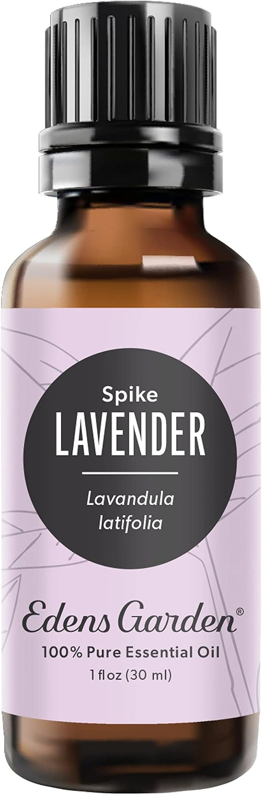 Edens Garden Lavender- Spike Essential Oil- 100% Pure Premium Grade, Undiluted, Natural, Therapeutic, Aromatherapy, The Best for Diffuser, Candle, Laundry, Humidifiers 30 ml (1 fl oz)