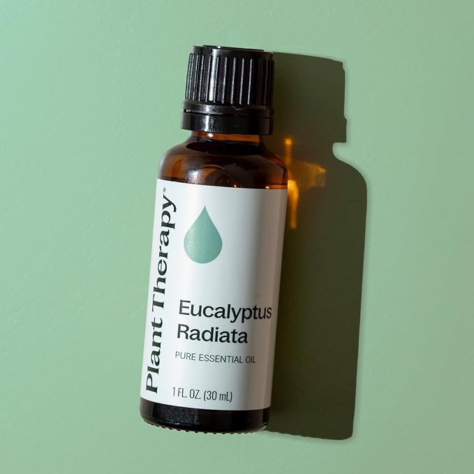 Plant Therapy Eucalyptus Radiata Essential Oil 30 mL (1 oz) 100% Pure, Undiluted, Therapeutic Grade