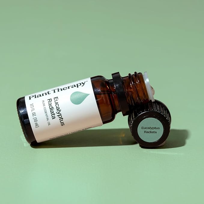 Plant Therapy Eucalyptus Radiata Essential Oil 10 mL (1/3 oz) 100% Pure, Undiluted, Therapeutic Grade