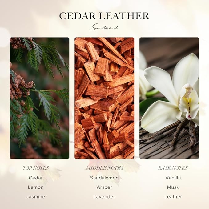 Cedar Leather Fall Collection Diffuser Oils | Aromatherapy Home Fragrance | Luxurious Scent with Lemon, Jasmine Sandalwood, Amber, Lavender, Vanilla, & Musk (20ml)