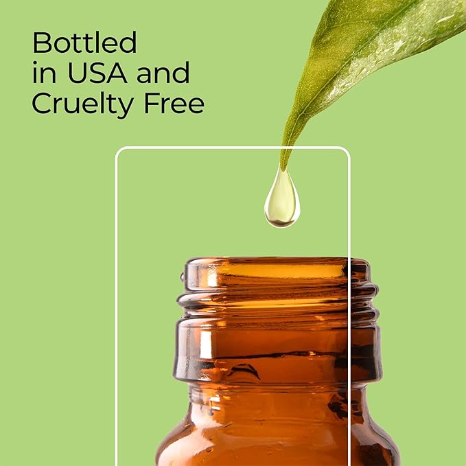 Good Essential Professional Gingerbread Fragrance Oil 1 fl oz (30ml) for Diffusers, Candles, Soaps, Lotions, Perfume, Candle & Soap Making Fragrance Oil