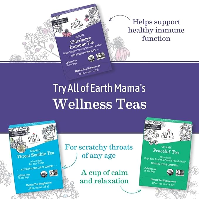 Earth Mama Organic Elderberry Immune Support Tea with Echinacea | Safe for Pregnancy, Breastfeeding, Postpartum, Kids and Family Essentials, Decaf Tea with Ginger & Rooibos, 16-Count