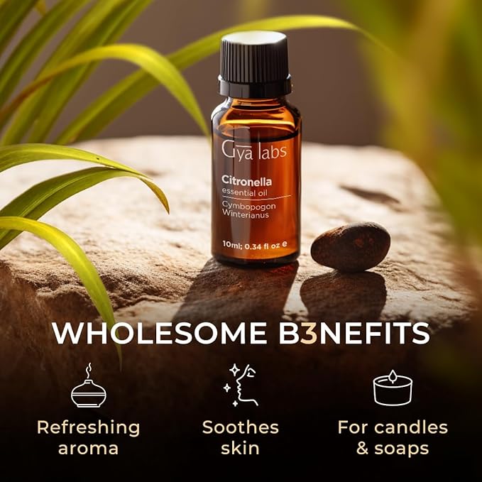 Gya Labs Citronella Essential Oil - 0.34 Fl Oz - 100% Pure Natural Citronella Oil for Skin, Diffuser, Candle Making Scent DIY & Aromatherapy - Outdoor & Indoor Use