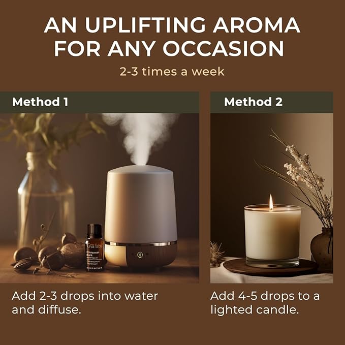 Gya Labs Cinnamon Essential Oil for Diffuser - 0.34 Fl Oz - 100% Pure Natural Cinnamon Bark Essential Oil for Skin, Hair, Lips Body & Candle Making - Spicy Sweet Scent