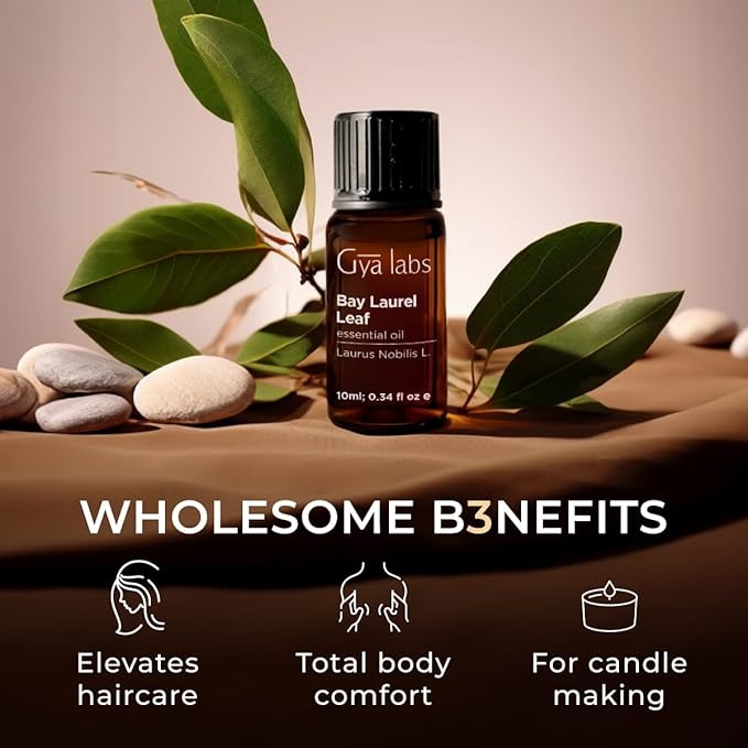 Gya Labs Bay Leaf Essential Oil for Diffuser - 0.34 Fl Oz - 100% Natura Bay Laurel Oil for Hair, Candle Making - Spicy, Herbaceous Scent