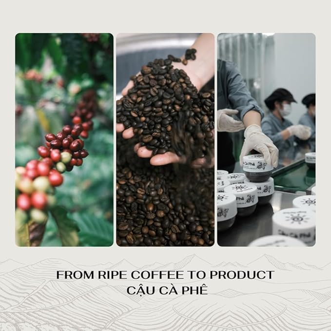 Coffee Body Scrub with Dak Lak Ripe Coffee, Macadamia Oil, Himalayan Salt, Aloe Vera & Pink Grapefruit Essential Oil – Exfoliating & Moisturizing for Smooth, Radiant Skin (8.8 fl oz)