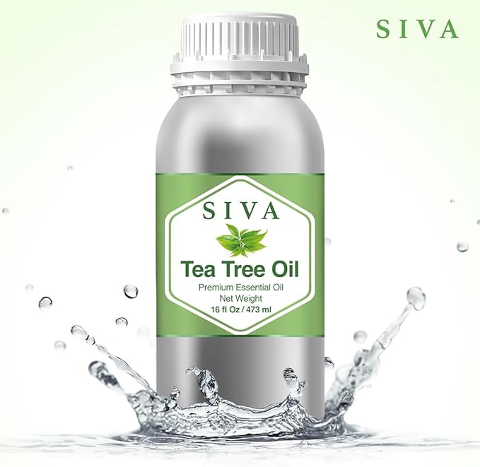 Siva Tea Tree Essential Oil - 16 Fl Oz – Natural Tea Tree Oil - for Diffuser, Face, Skin Care, Aromatherapy, Hair Care, Scalp and Body Massage