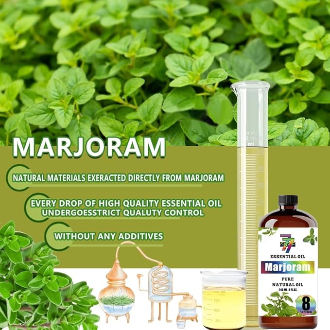 Marjoram Essential Oil (8 oz/240 ml) - Marjoram Oils Used in diffusers, humidifiers, Home Baths, Cleaning Products, Yoga, DIY Soaps and DIY Scented Candles
