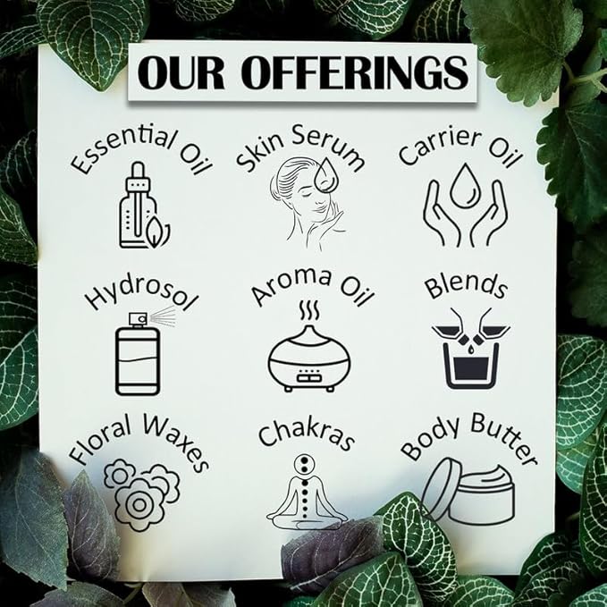 Deve Herbes Pure Benzoin Essential Oil (Styrax Benzoin) Steam Distilled 15ml (0.50 oz)