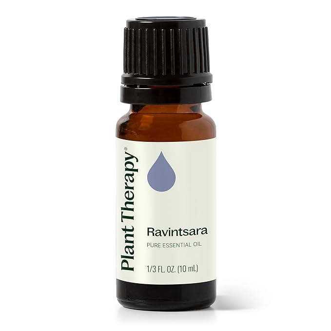 Plant Therapy Ravintsara Essential Oil 10 mL (1/3 oz) 100% Pure, Undiluted, Therapeutic Grade