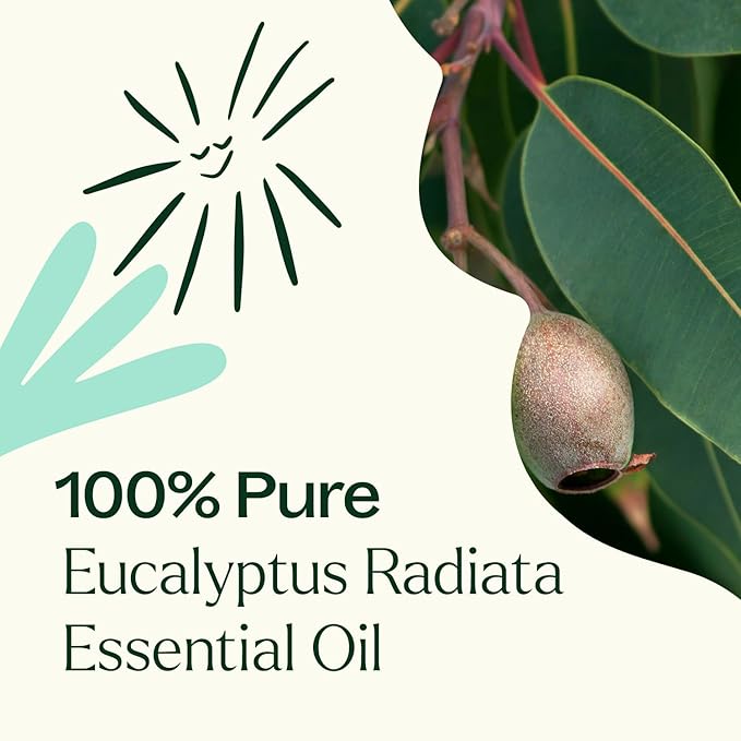 Plant Therapy Eucalyptus Radiata Essential Oil 10 mL (1/3 oz) 100% Pure, Undiluted, Therapeutic Grade