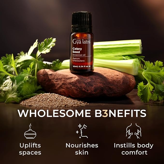 Gya Labs Celery Seed Essential Oil for Diffuser - 0.34 Fl Oz - 100% Pure Natural Celery Seed Oil for Skin & Face, Massage, Candle Making Scent DIY
