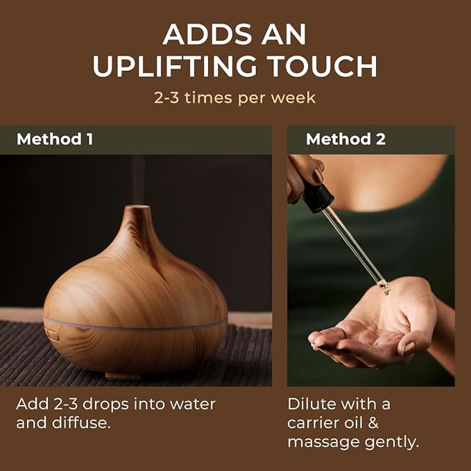 Gya Labs Pine Essential Oils for Diffuser - 0.34 Fl Oz - 100% Pure Natural Fall Pine Oil for Skin, Body Massages, Candle Making DIY - Fresh Woodsy Scent