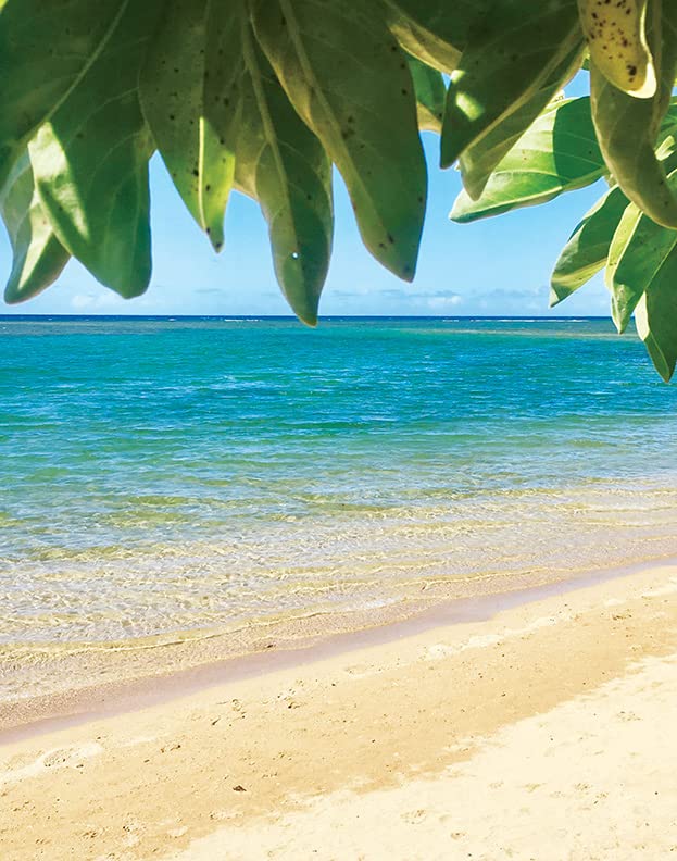 Island Soap and Candle Works Botanical Coconut Scented Body Lotion for Men and Women - Paraben Free Body Moisturizer - Hydrating Hawaiian Skincare - Creamy Coconut - 8.5 Fl Oz. Bottle