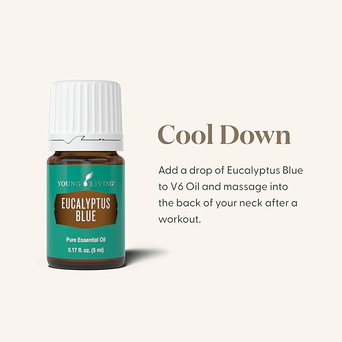 Young Living Eucalyptus Blue Premium Essential Oil Diffuser - 100% Pure, Cool & Refreshing Scent - Aromatherapy for Relaxation and Muscle Relief - 5ml Bottle