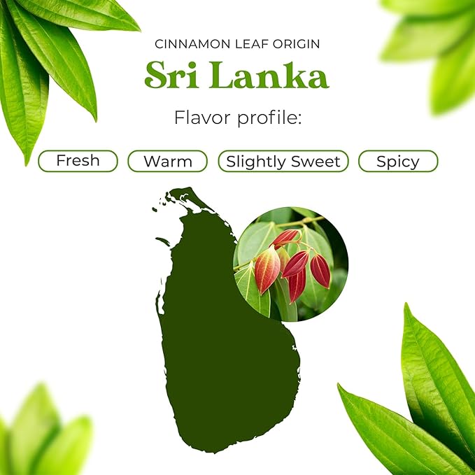 Sun Essential Oils Cinnamon Leaf Essential Oil 4oz Bottle for Humidifier, Diffuser, Soaps, Candles, Aromatherapy, Home Care, and Soap Making