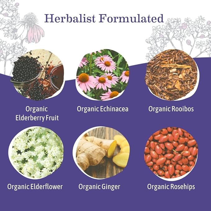 Earth Mama Organic Elderberry Immune Support Tea with Echinacea | Safe for Pregnancy, Breastfeeding, Postpartum, Kids and Family Essentials, Decaf Tea with Ginger & Rooibos, 16-Count