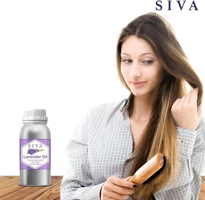 Siva Lavender Essential Oil – 16 Fl Oz – 100% Natural Lavender Oil - for Diffuser, Hair Care, Face, Skin Care, Aromatherapy, Scalp and Body Massage, Soap and Candle Making