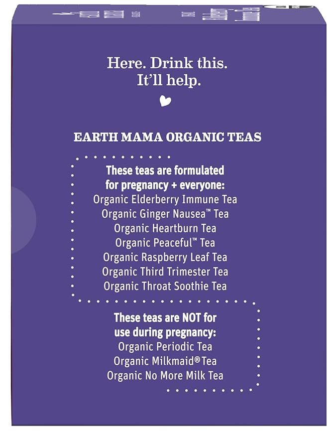 Earth Mama Organic Elderberry Immune Support Tea with Echinacea | Safe for Pregnancy, Breastfeeding, Postpartum, Kids and Family Essentials, Decaf Tea with Ginger & Rooibos, 16-Count