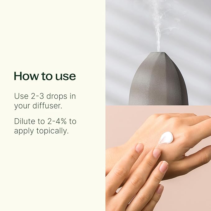 Plant Therapy Eucalyptus Radiata Essential Oil 30 mL (1 oz) 100% Pure, Undiluted, Therapeutic Grade