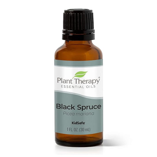Plant Therapy Black Spruce Essential Oil 30 mL (1 oz) 100% Pure, Undiluted, Therapeutic Grade