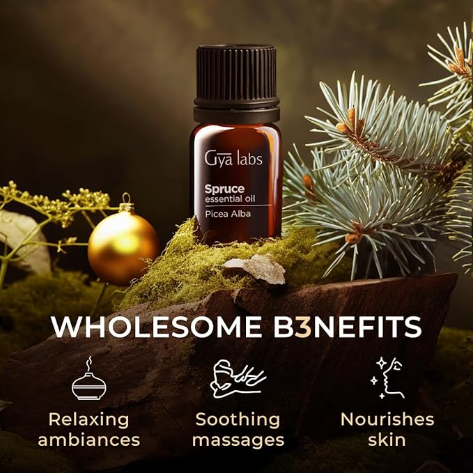 Gya Labs Spruce Essential Oil for Diffuser - 0.34 Fl Oz - 100% Pure Natural Spruce Oil for Skin, Massage, DIY & Candle Making - Woody Balsamic & Refreshing Scent