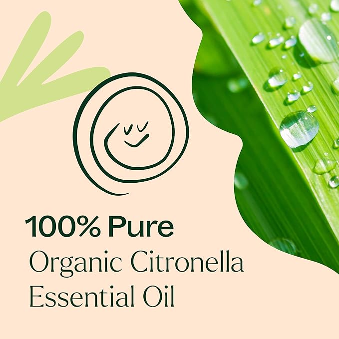 Plant Therapy Citronella Organic Essential Oil 100% Pure, USDA Certified Organic, Undiluted, Natural Aromatherapy, Therapeutic Grade 30 mL (1 oz)