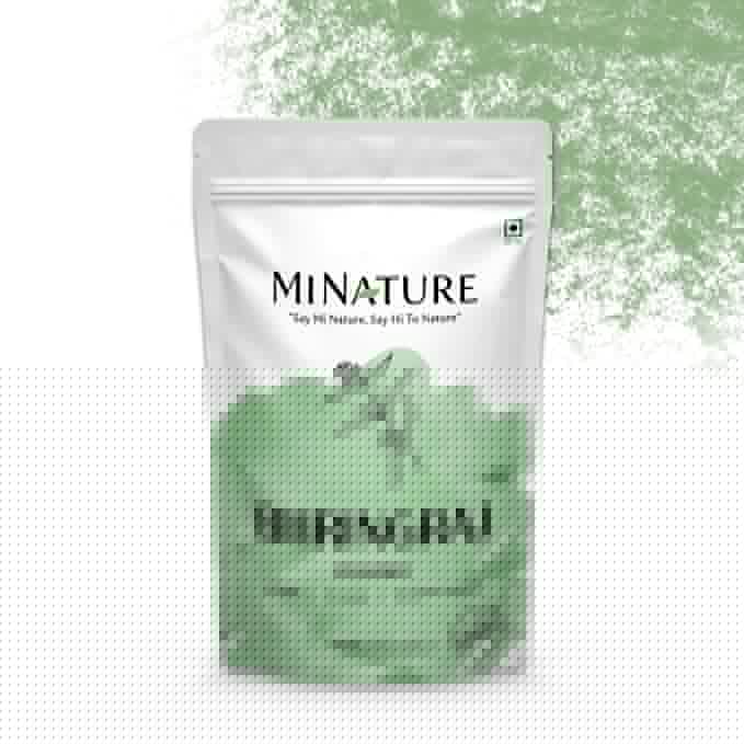 minature Bhringraj Powder (Eclipta Prostrata) | False daisy| Natural and Pure Dry leaves| Ideal for Oil & Pack | Improves Texture |Control Hair Pigmentation| 100g(4 oz)