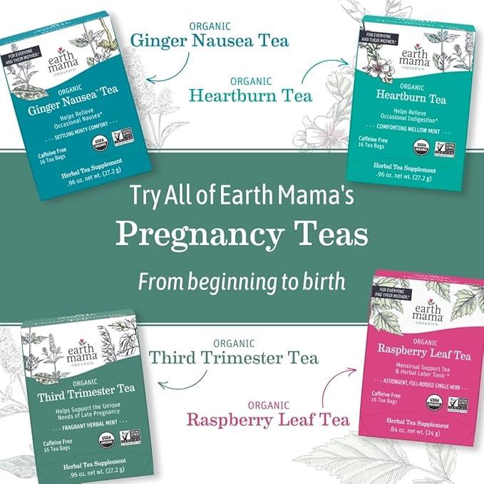 Earth Mama Organic Elderberry Immune Support Tea with Echinacea | Safe for Pregnancy, Breastfeeding, Postpartum, Kids and Family Essentials, Decaf Tea with Ginger & Rooibos (16-Count, 2-PK)