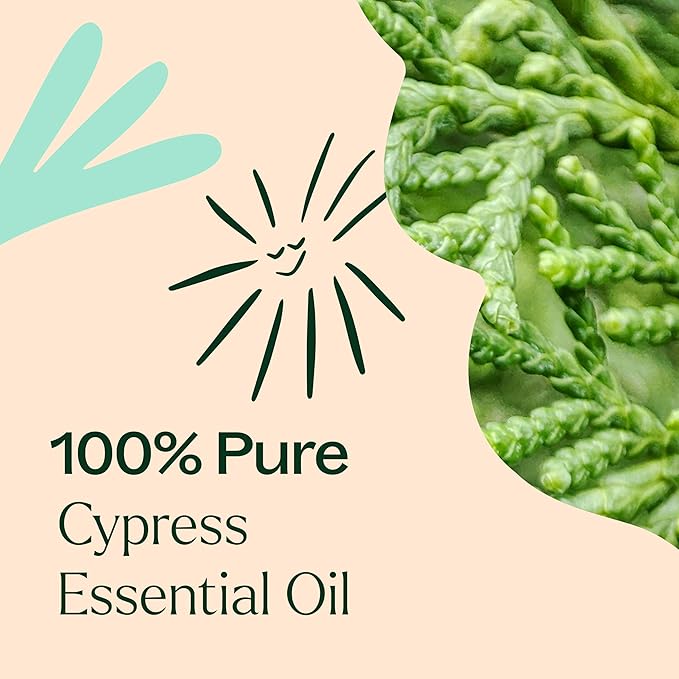 Plant Therapy Cypress Essential Oil 100% Pure, Undiluted, Natural Aromatherapy for Diffuser & Skin, Therapeutic Grade 10 mL (1/3 oz) Cypres Oil Refreshing & Clearing
