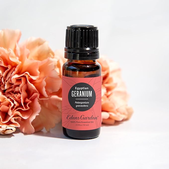 Edens Garden Geranium-Egyptian Essential Oil- 100% Pure Premium Grade, Undiluted, Natural, Therapeutic, Aromatherapy, The Best for Diffuser, Skin, Face, Hair 118 ml (4 fl oz)