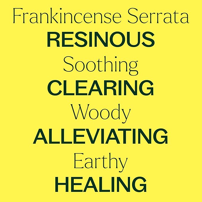 Plant Therapy Frankincense Serrata Essential Oil 100% Pure, Undiluted, Natural Aromatherapy, Therapeutic Grade 30 mL (1 oz)