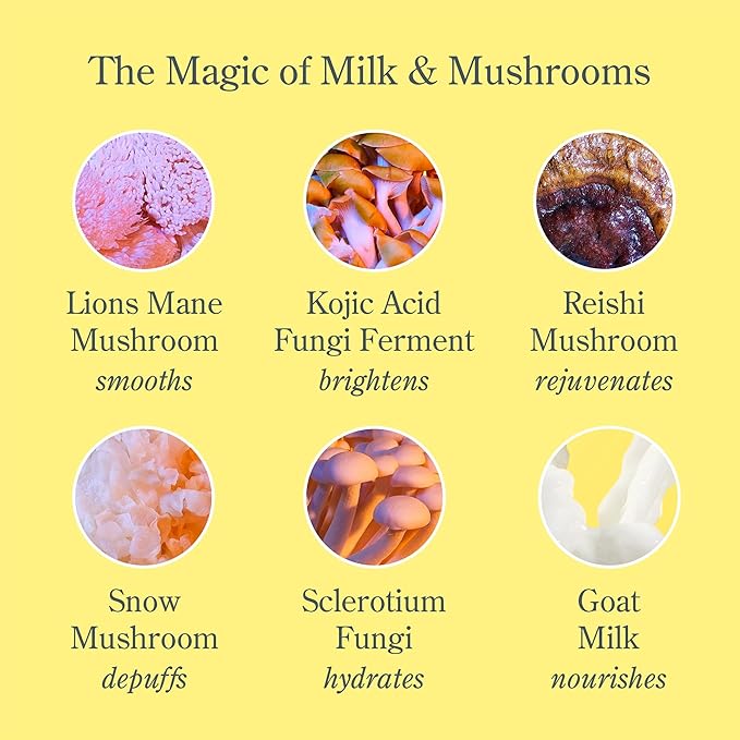 Beekman 1802 Mushroom Goat Milk Eye Cream - Clinically Proven Anti-Aging Eye Treatment for Dark Circles & Fine Lines - With Kojic Acid, Hexapeptide & Mushrooms - Fragrance-Free, Cruelty-Free