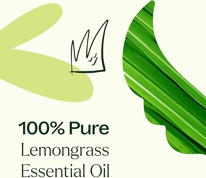 Plant Therapy Lemongrass Essential Oil 100% Pure, Undiluted, Natural Aromatherapy for Diffuser and Skin, Therapeutic Grade 30 mL (1 oz)