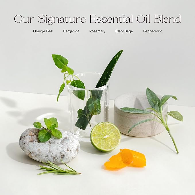 The Deep Conditioning Concentrate, Hydrating and Smoothing for Dry, Damaged, or Frizzy Hair, Hair Mask, Plant-Based, Vegan, 3.4 fl oz, TIN