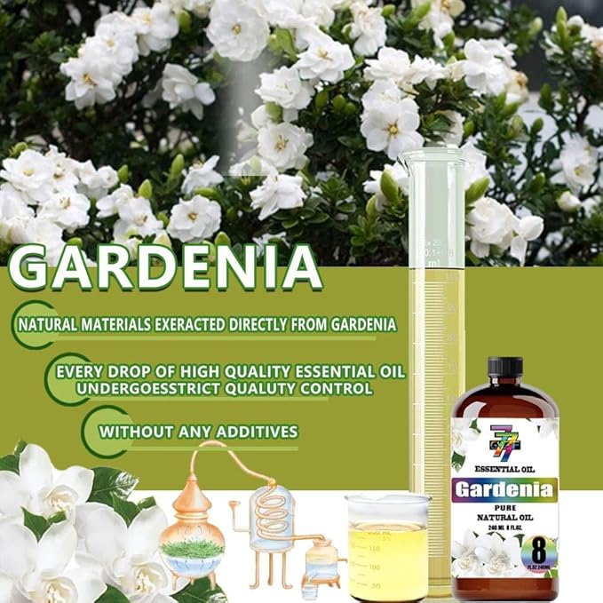 Gardenia Essential Oil (8 oz/240 ml) - Gardenia Oils Used in diffusers, humidifiers, Home Baths, Cleaning Products, Yoga, DIY Soaps and DIY Scented Candles