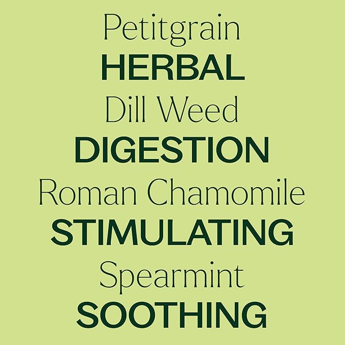 Plant Therapy KidSafe Tummy All Better Essential Oil Blend Pre-Diluted Roll-On 10 mL (1/3 oz) 100% Pure, Therapeutic Grade